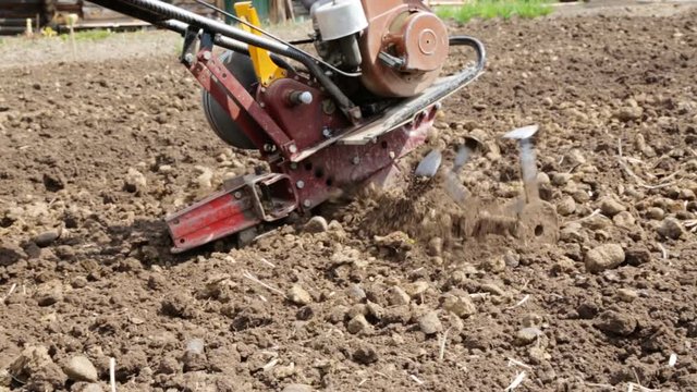 Plowing the soil with a motoblock