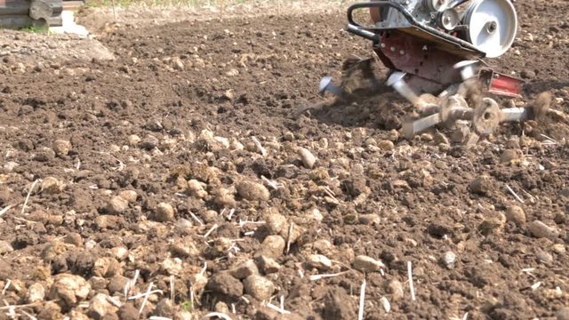 Plowing the soil with a motoblock