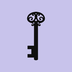 Key icon