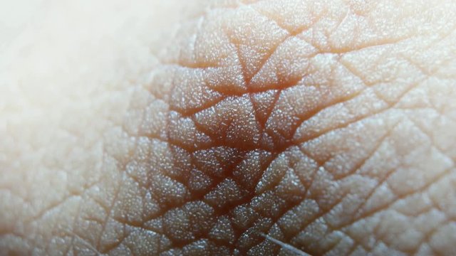 Close up of Human Skin Texture 
