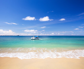 beach and tropical sea