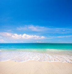 beach and tropical sea