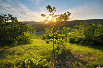 Fototapeta premium Mountain sunrise landscape.