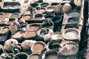  in morocco africa the antique tannery