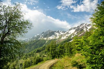 Snowy mountains against the background of green trees. Rosa Khutor, Adler