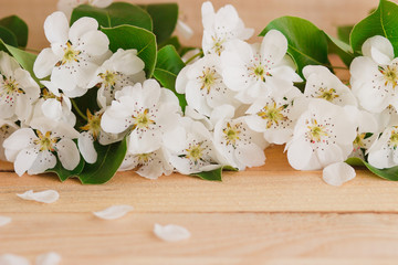 Pear's blossom on the wooden table, wooden background