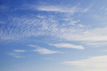 Fototapeta premium blue sky with cloud