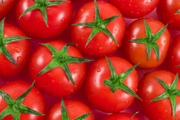 tomatoes