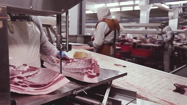 Machine for cutting meat with a vertical blade of a saw. The process of cutting carcasses of cattle by means of an automated saw. Manual feeding of meat into a meat grinder. Meat processing plant.