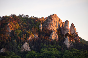Rock Babky with forest in Slovakia region - Vrsatec