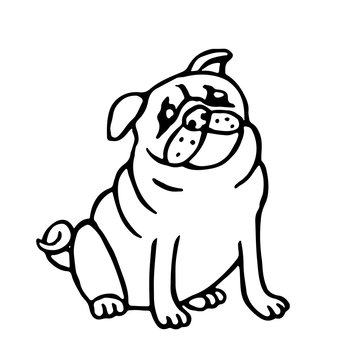 Cute outline pug. Isolated vector illustration.