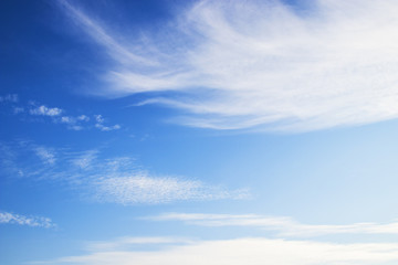 Fototapeta premium blue sky with cloud