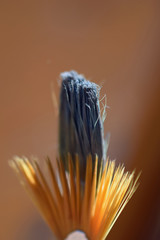 Close up of paintbrushes outdoors. Selective focus vertical image