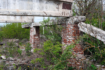 Destroyed brick building among nature