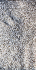 in a market lots of rice  grain