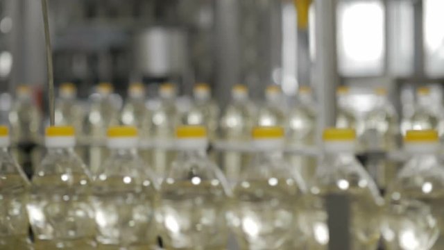 Vegetable or sunflower oil in a plastic bottle