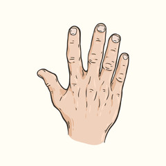 Hand gesture Five fingers