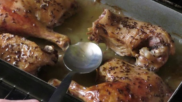 Roast duck with the crust on a baking pan 