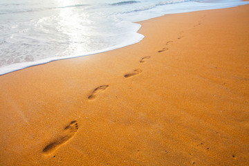 beach, wave and footprints at sunset time