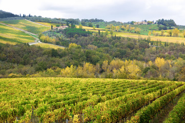 Fototapeta na wymiar Beautiful Tuscany landscape of vineyard and hills in autumn, Chianti, Italy 