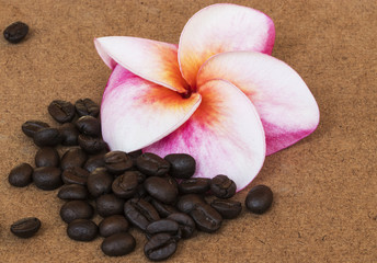 Red Plumeria flower with coffee on wood background