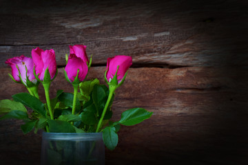 Rose flowers on dark wooden vintage style