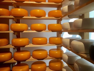 Dutch Gouda cheese