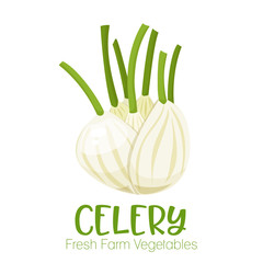 Vector celery isolated on white background.Vegetable illustration for farm market menu. Healthy food design poster. Cartoon style vector illustration