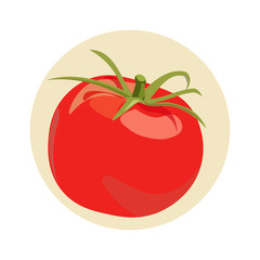 Fresh Tomato icon. Organic tomato isolated. Vector illustration.