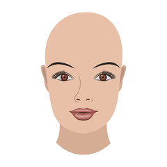 Object bold face brown eyes, vector
