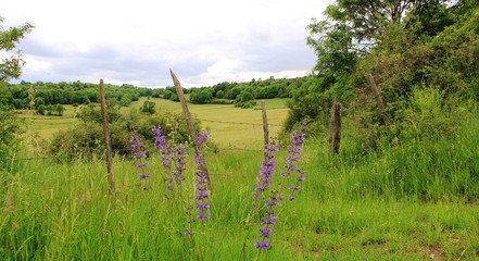 Obraz premium paysage champêtre, Auvergne