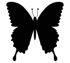 butterfly fly black icon vector