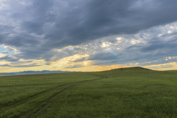 Summer landscape in Khakasia.