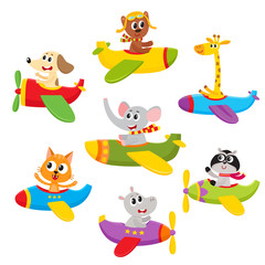 Fototapeta na wymiar Cute little bear, dog, cat, elephant, giraffe, raccoon, hippo animals flying on airplanes, cartoon vector illustration isolated on a white background. Little baby animal characters flying on airplanes