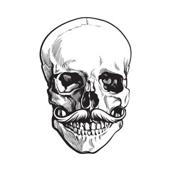 Hand drawn human skull with curled upward hipster moustache, black and white sketch style vector illustration isolated on white background. Realistic front view hand drawing of human skull