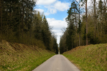 Fototapeta na wymiar Rural road in Belovezhskaya Pushcha National Park, Belarus