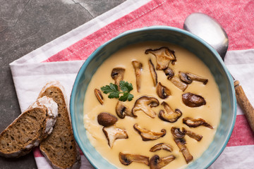 Cream Mushroom Soup in Bowl on Stone Background. Homemade Mushrooms Pottage Puree.