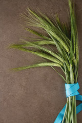 Green wheat on a simple stone background. Cereals, an ingredient for bread.