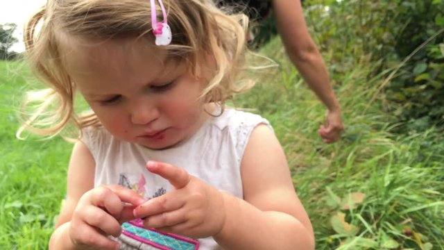 Little Toddler Girl Foraging For Blackberries In A Country Meadow Hedgerow