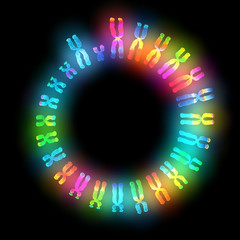 Male chromosome set, Karyotype, genome, artwork