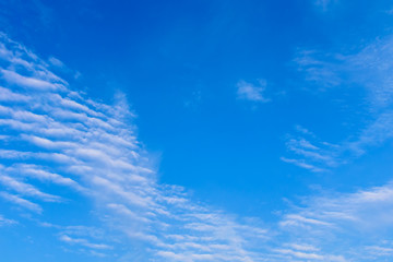 The bright blue sky and little white cloud