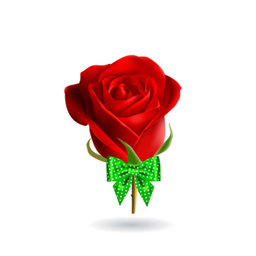 Vector illustration of a rose with a bow