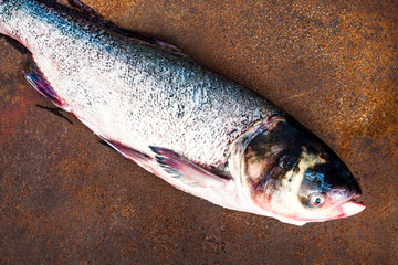 Fresh fish of the lake