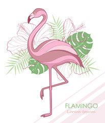 Silhouette of flamingos. Vector illustration. Vector. Flamingos and tropical plants.