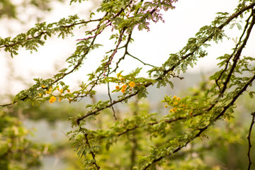 Natur genießen im Botanischen Garten