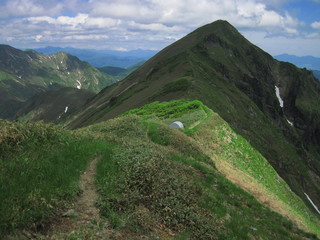 初夏の山路