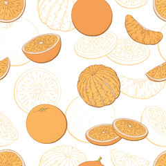 Orange fruit graphic color seamless pattern sketch illustration vector