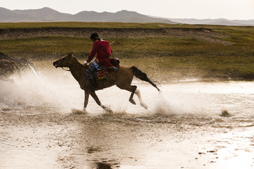 gallop