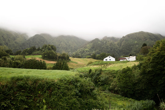 Landscape of the Azores. Misty morning, surroundings of the town of Furnas, the island of San Miguel.