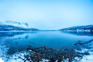 Fjord im Winter vor Narvik, Norwegen
